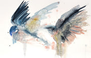 26” x 40” original watercolor painting of barn swallows. Pair of two flying birds with drips and splatters. Large-scale abstract animals in a loose, expressive, minimalist, modern style by contemporary fine artist Elizabeth Becker.